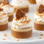 Mini Biscoff Cheesecakes