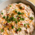 Boat Dip (Rotel Ranch Dip) 19 Boat Dip (Rotel Ranch Dip)